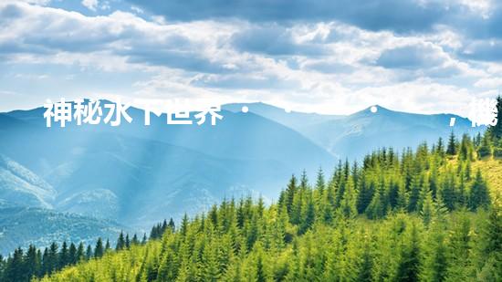 神秘水下世界，機器人探秘的奇幻之旅！